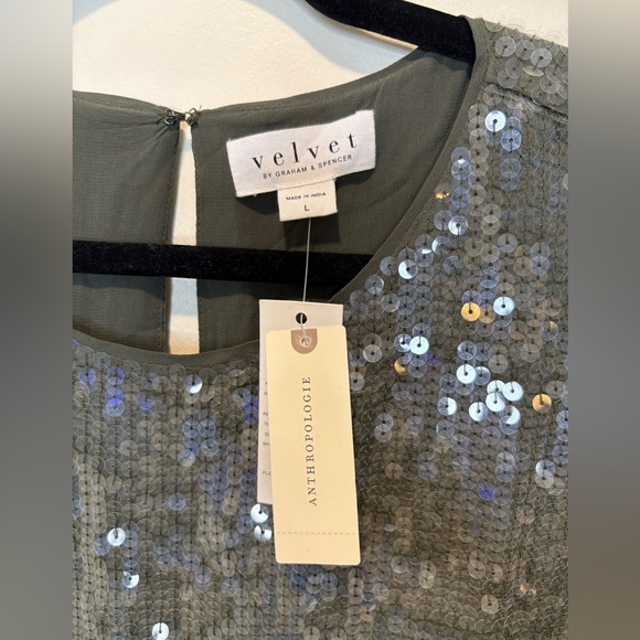Anthropologie Velvet gray-green Sequin dress - Picture 8 of 9